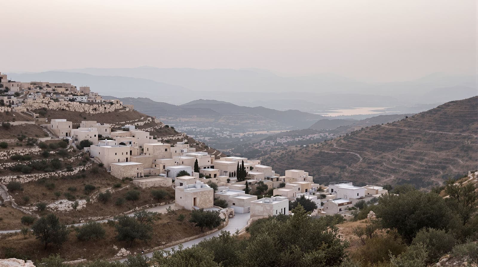 Illustration of a quiet West Bank hillside village of stone houses and olive terraces seen from a distant ridge at dawn.