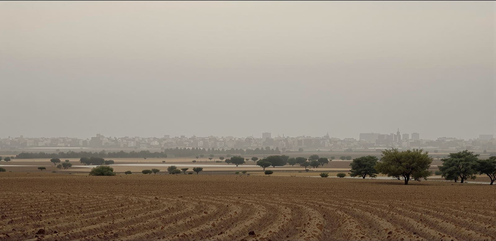 Illustration of the hazy northern Gaza skyline seen at a distance across flat farmland at dawn