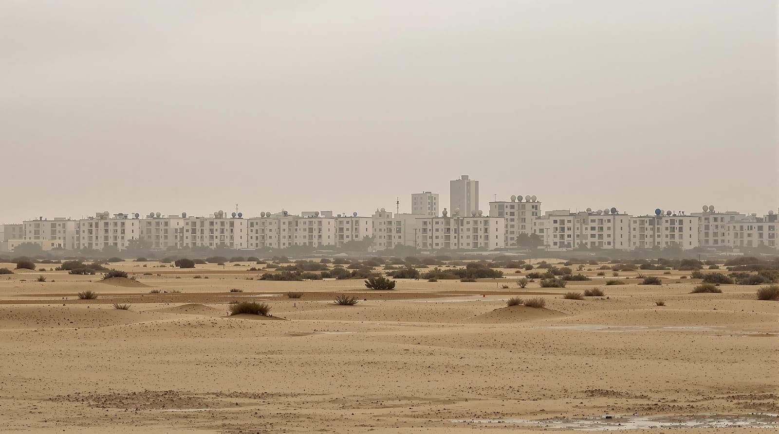 Illustration of the hazed skyline of a dense northern Gaza town seen at a distance across open sand under an overcast dawn.