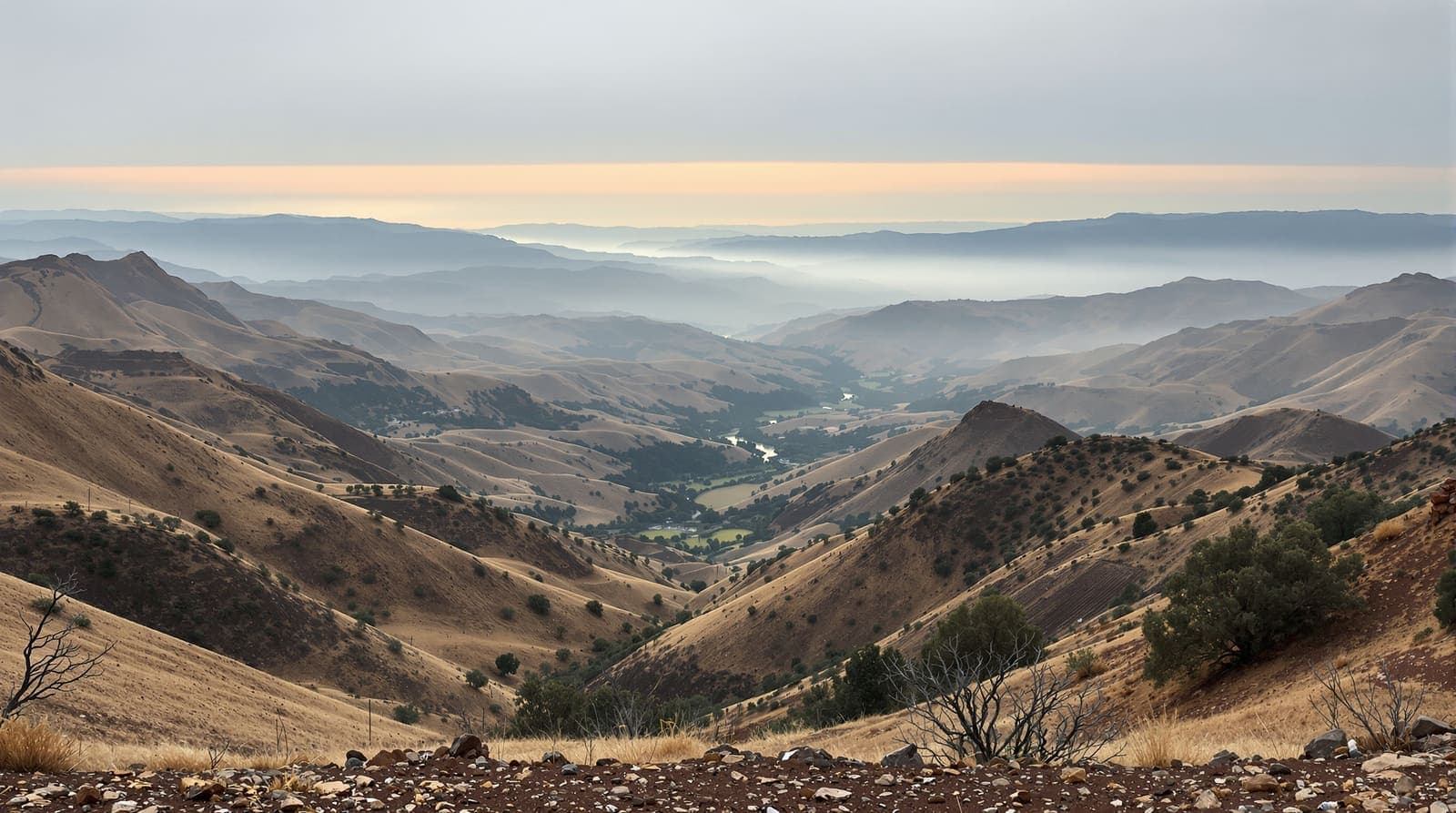 Illustration of hazy ridgelines seen from a stony Galilee hillside at dawn, with olive terraces and mist in the valleys.