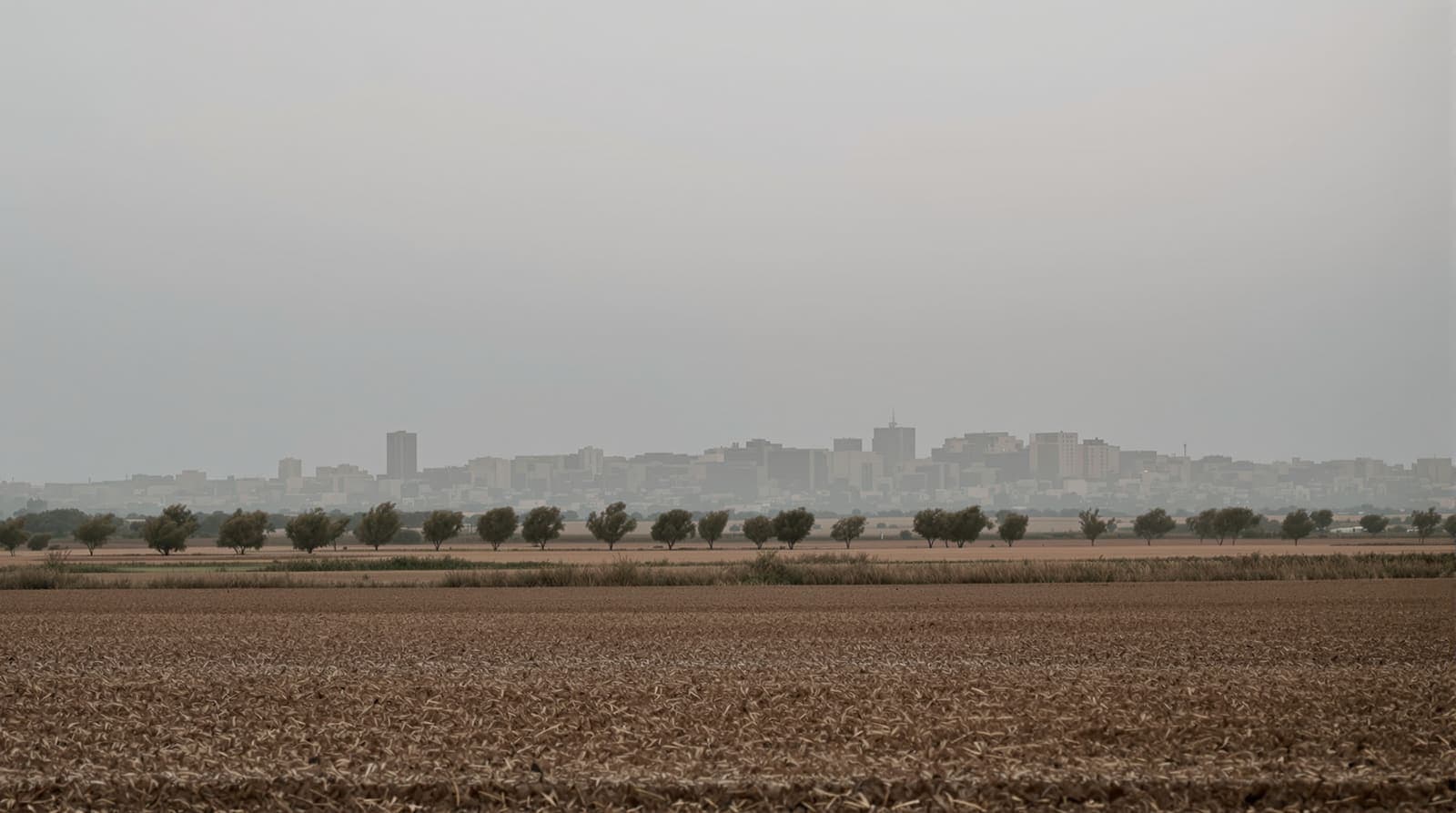 Illustration of a distant Gaza skyline seen across flat farmland at dusk, hazy pale buildings along an unbroken horizon.