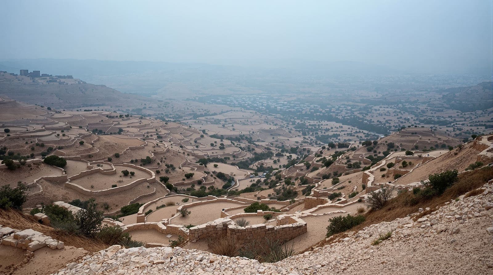 Illustration of the Jordan Valley at dawn, with olive terraces, limestone ridges and a distant pale hilltop town in haze.