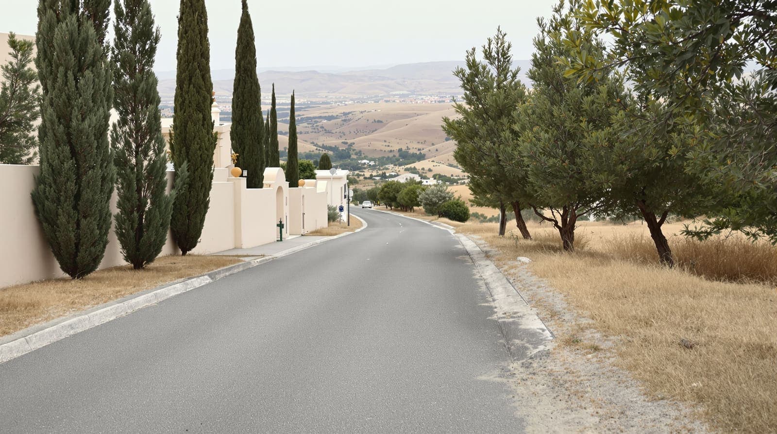 Illustration of a quiet limestone village lane on a Galilee ridge, with olive trees and distant hills under overcast afternoon light.