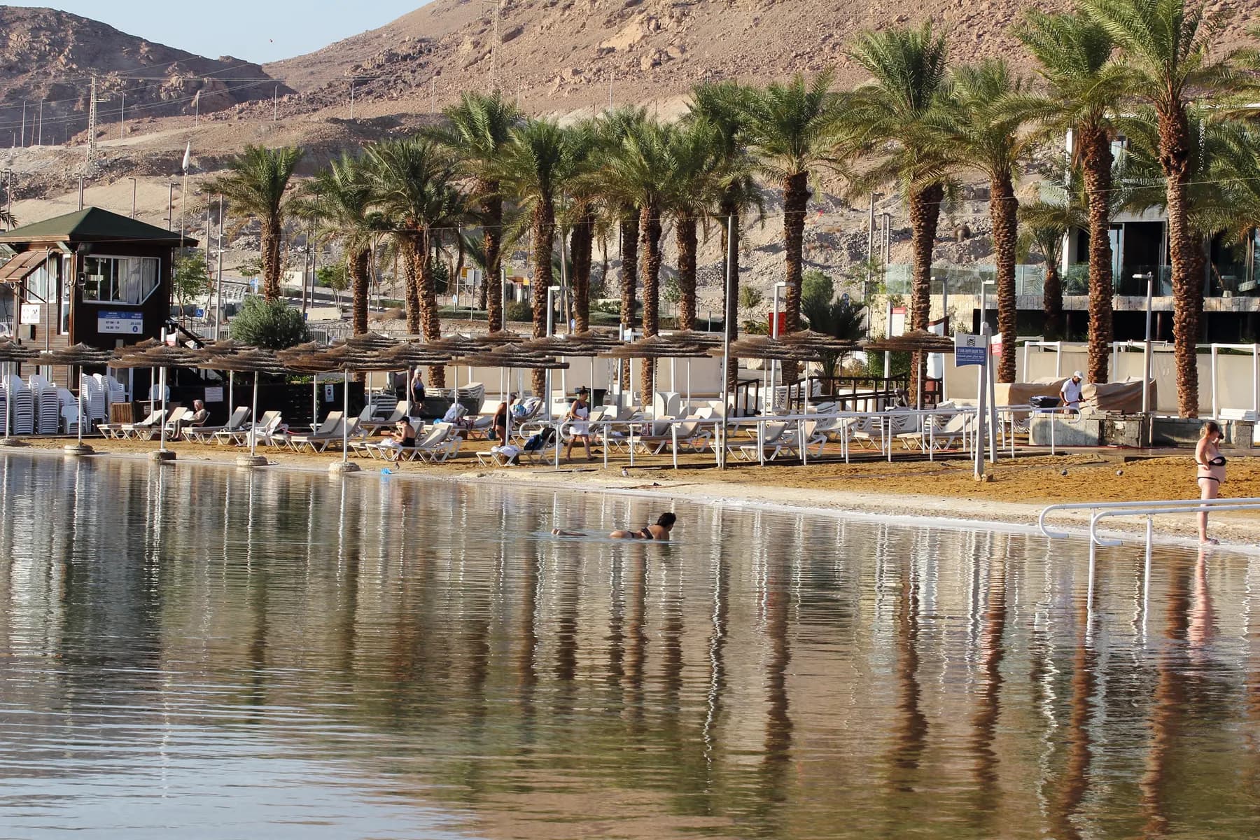 Rows of thatched sunshades and white loungers along the palm-lined beach at Ein Bokek, with the still water of the Dead Sea in the foreground and bare desert hills rising behind