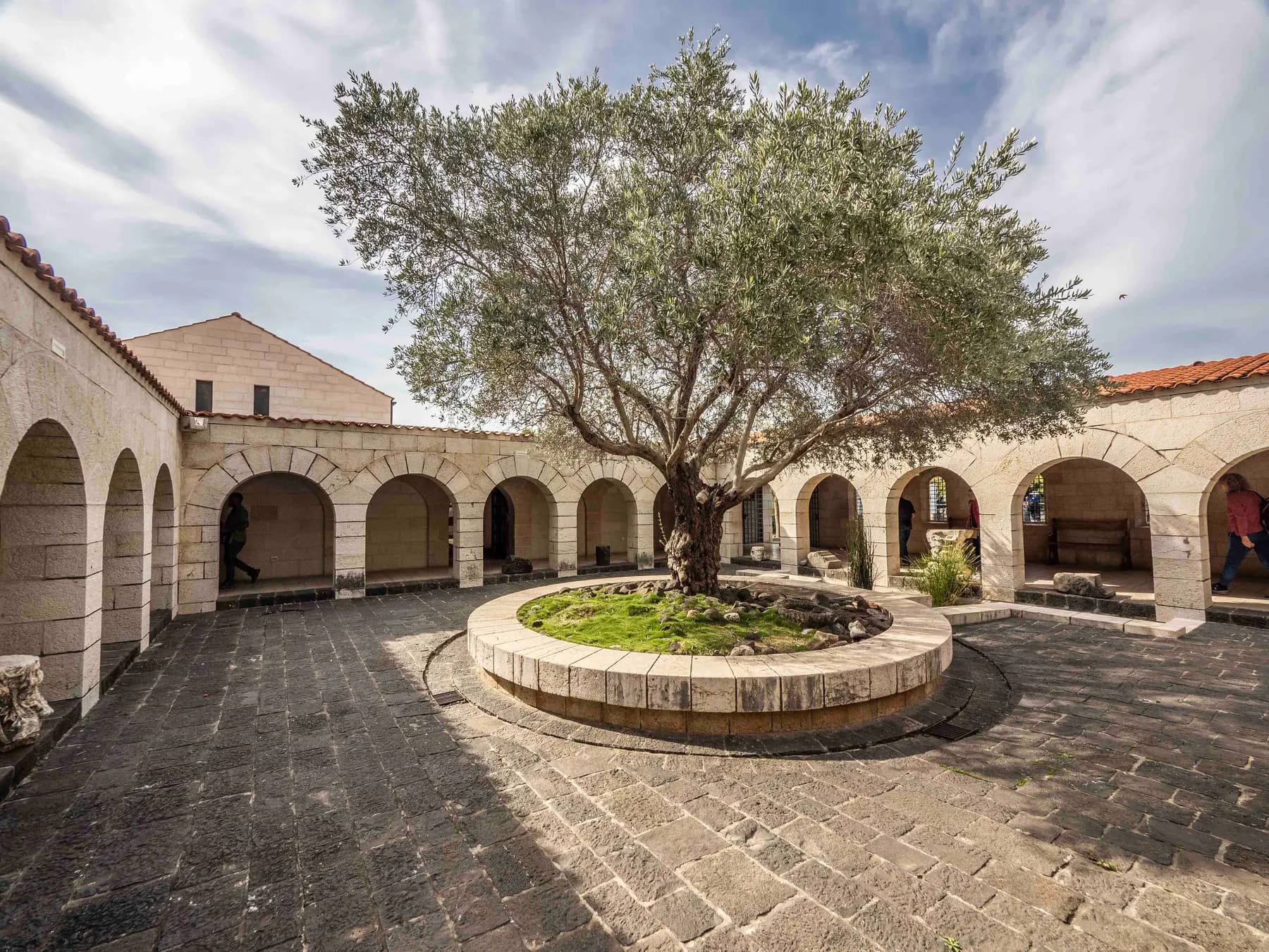The arcaded courtyard of the Church of the Multiplication at Tabgha, an old olive tree standing in a circular stone bed on black basalt paving