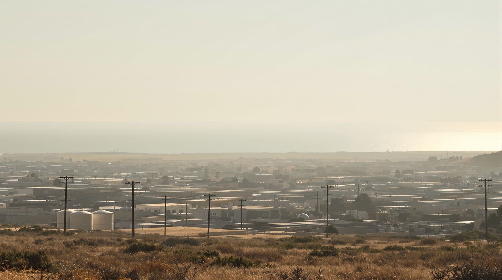 Illustration of a dense low-rise coastal city seen from a distance across open ground in pale morning haze.